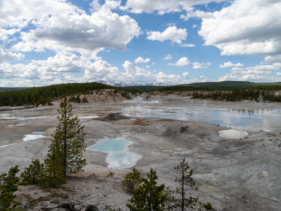 Norris Geyser Basin