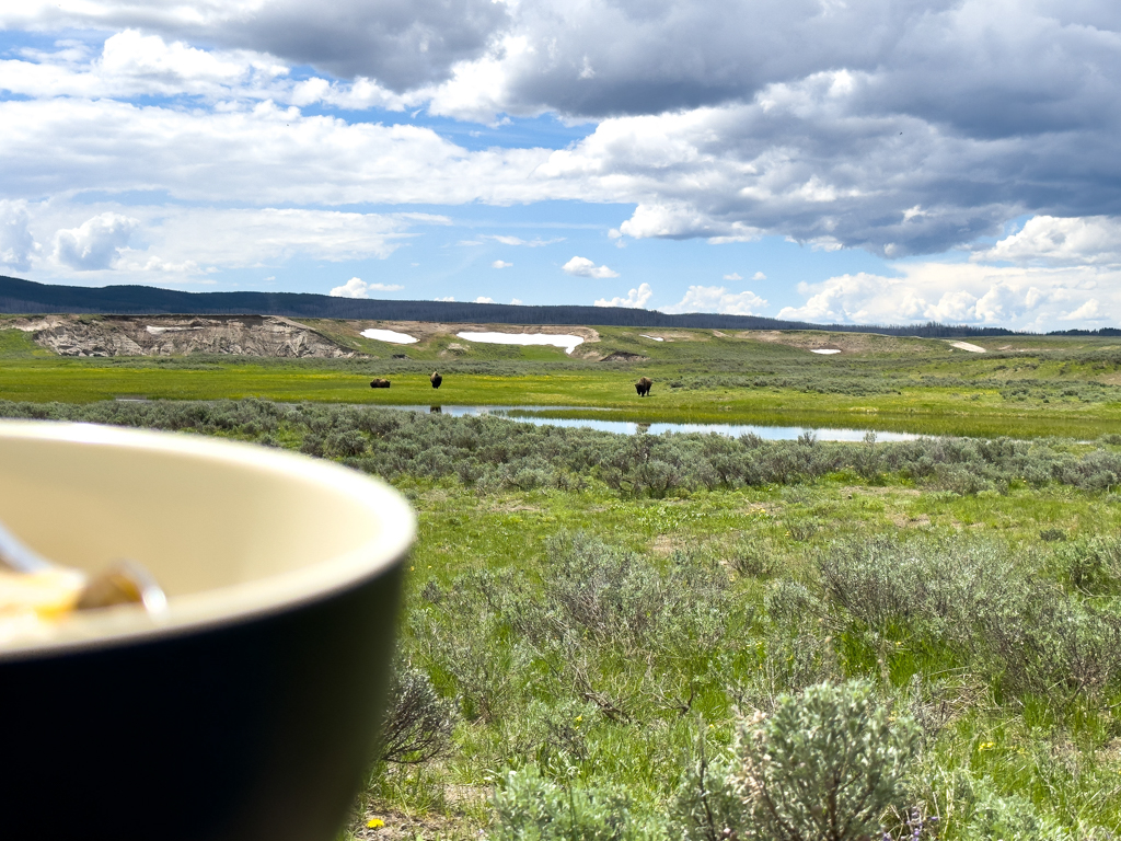 Frühstück im Hayden Valley, mit Aussicht auf Bisons
