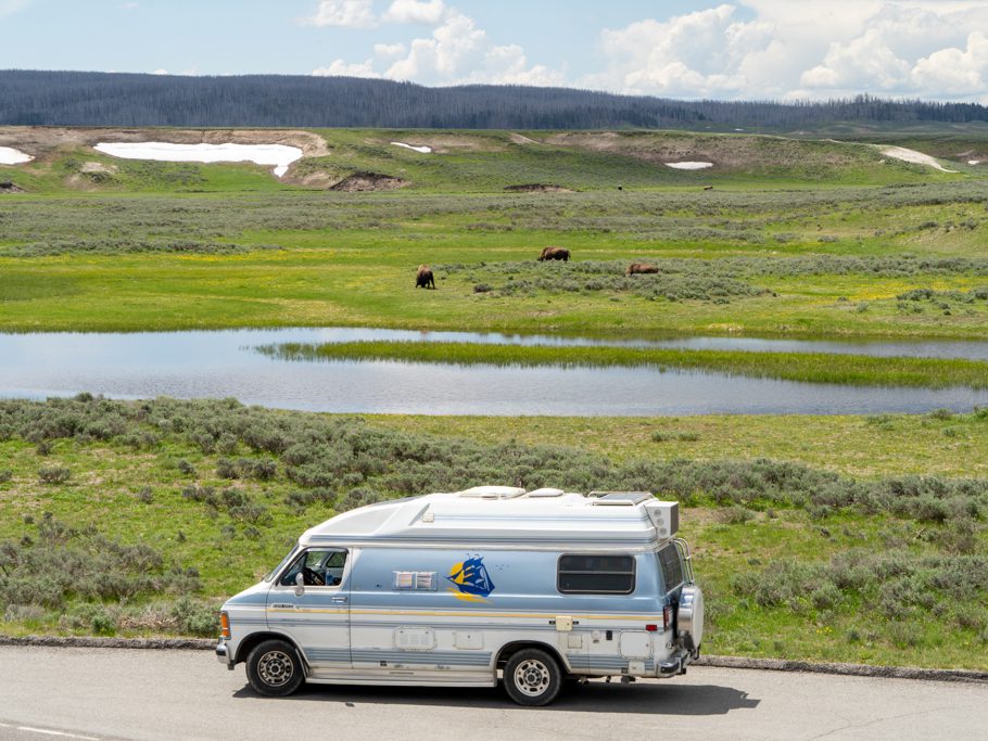 Martha im Hayden Valley, Yellowstone N.P.