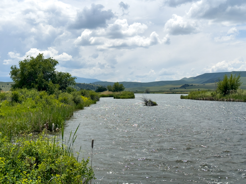 Madison River