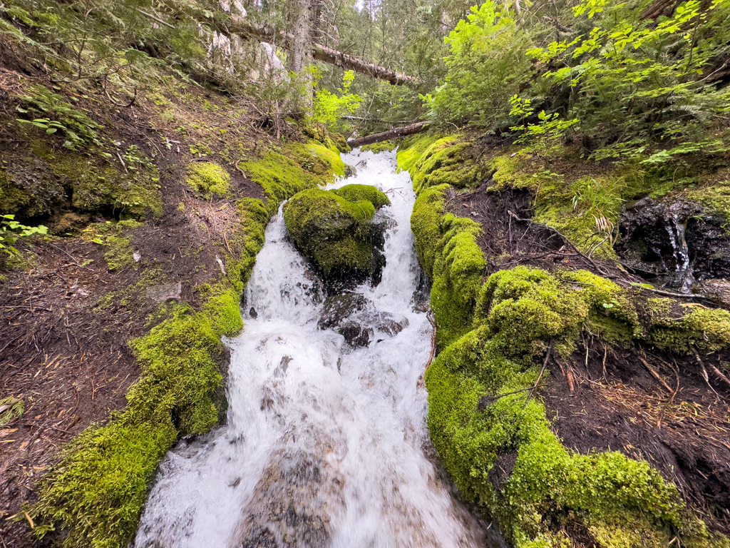 Sprudelnder Bach im Nationalpark