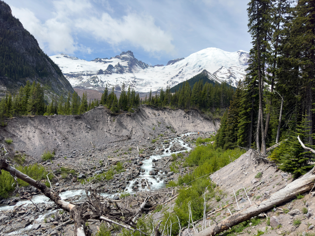 Mt. Rainier