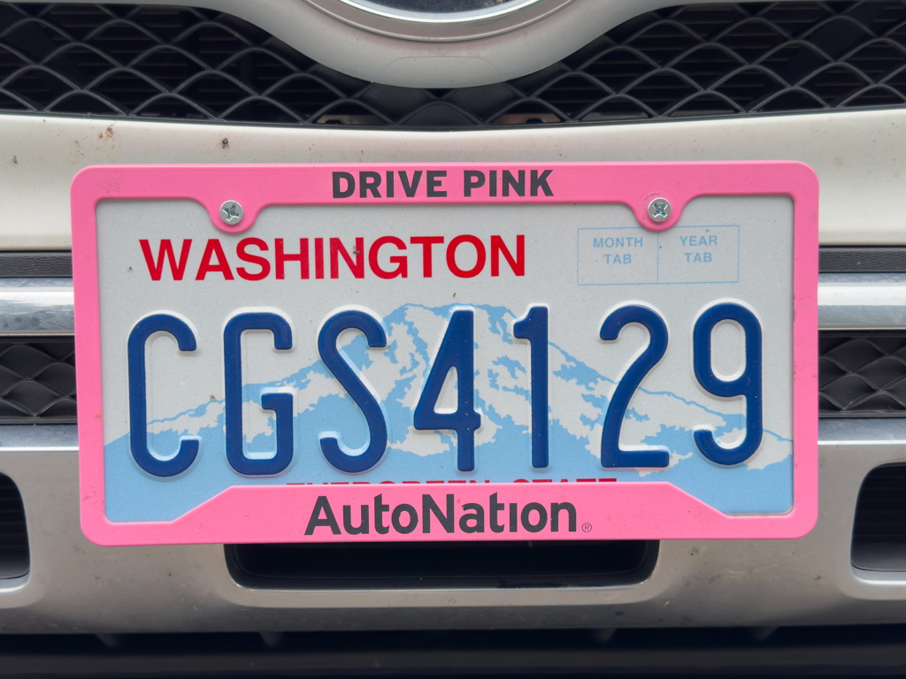Nummernschild: Washington - DRIVE PINK