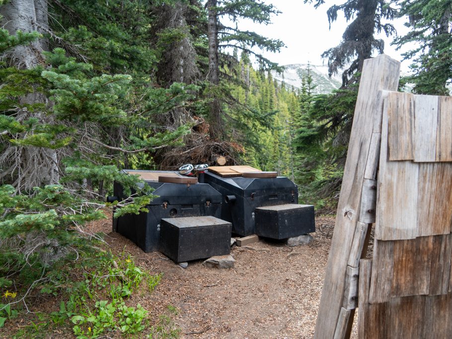 Wald-WCs im Glacier Basin Camp