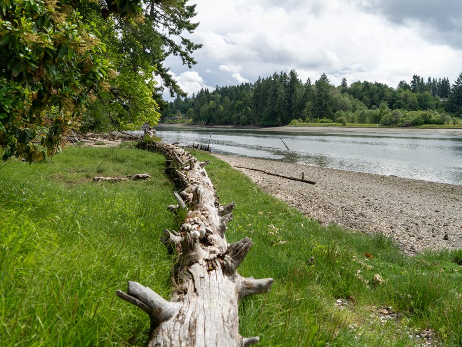 Strandgut