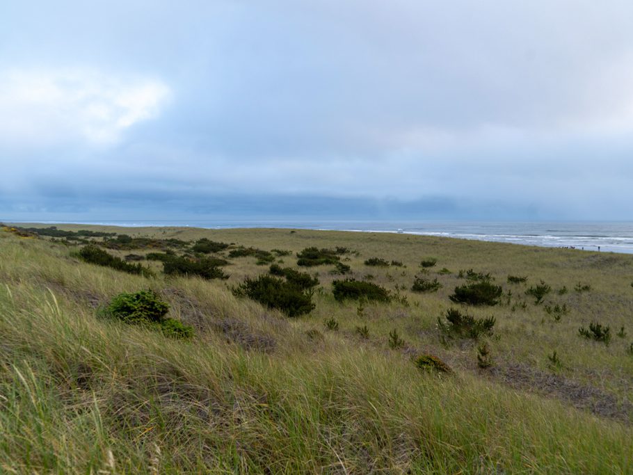 Düne und Meer bei Westport bzw. dem Twin Harbors State Park