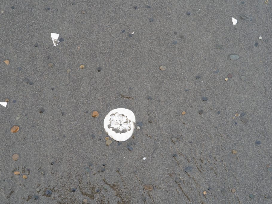 schwarzer Sandstrand