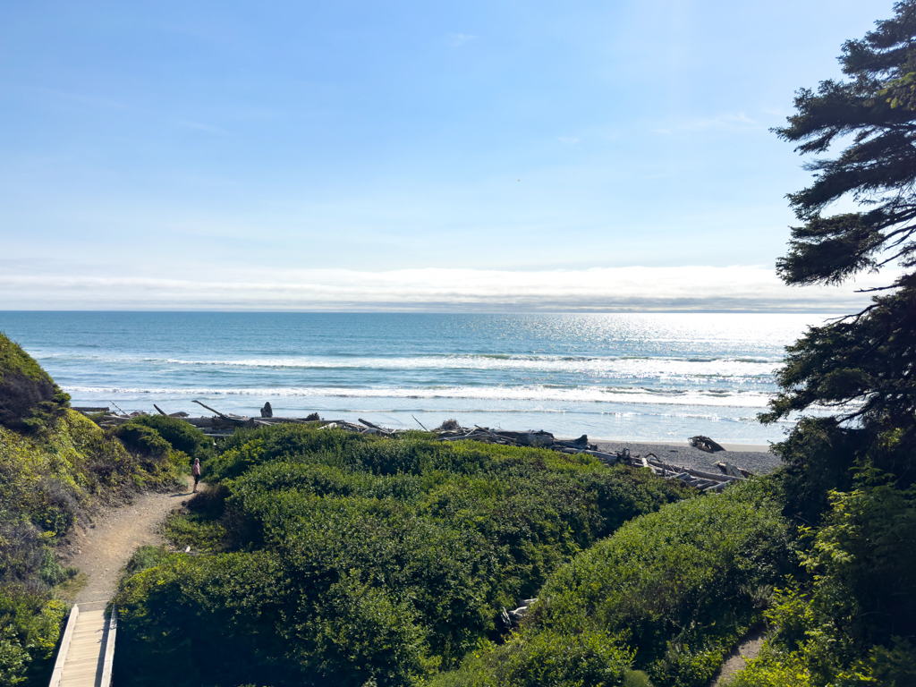 Kalaloch Beach