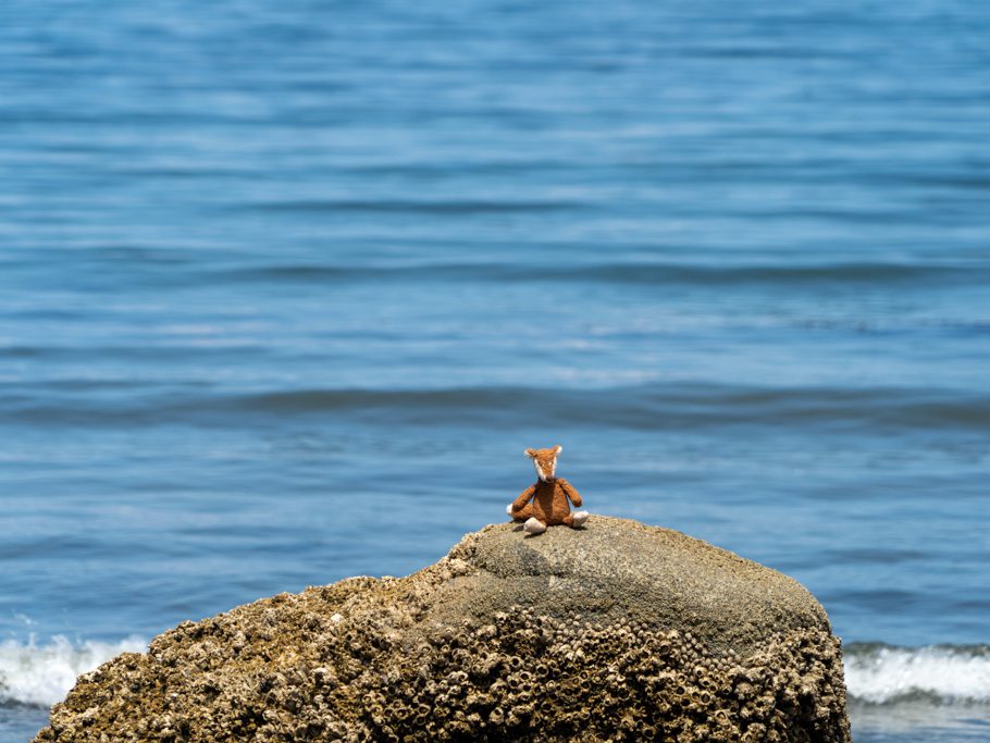 Mo posiert an der Clallam Bay