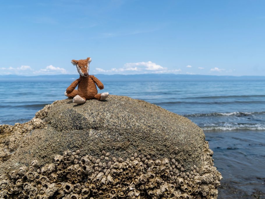 Mo posiert an der Clallam Bay