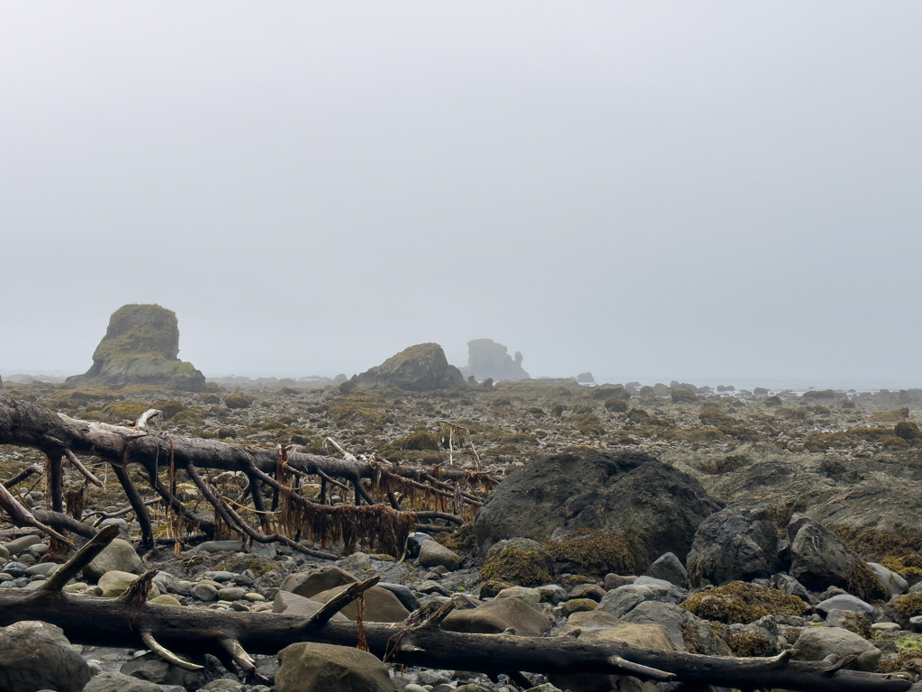 Beach am Cape Alava, Ozette