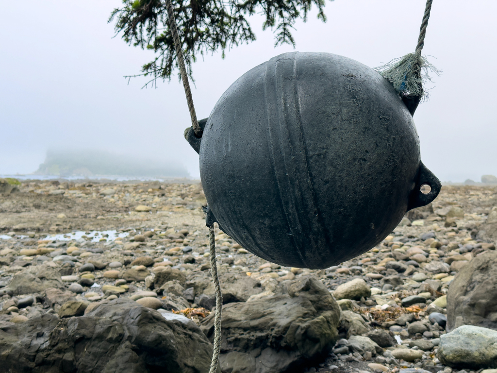 Strandgut