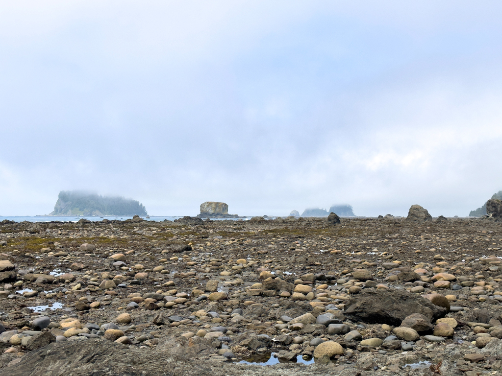 Strandwanderung bei Ebbe