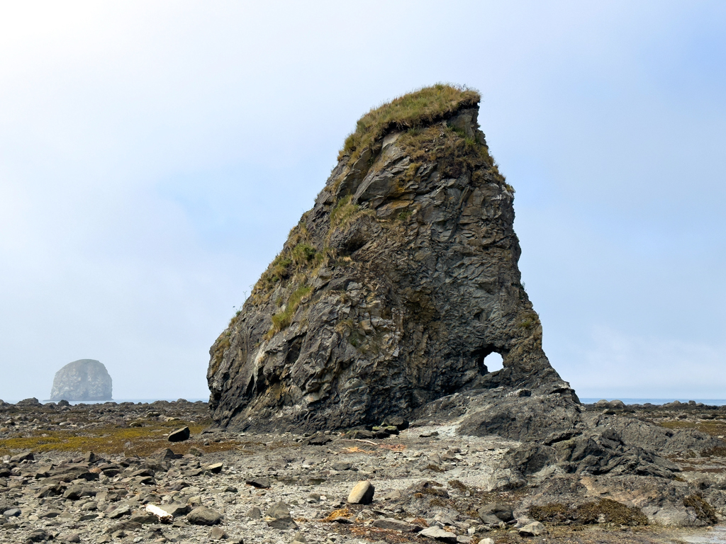 Strandwanderung bei Ebbe