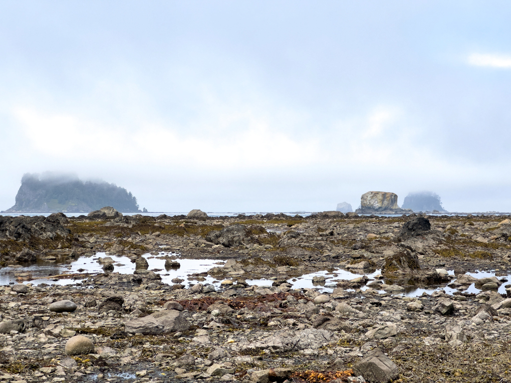 Strandwanderung bei Ebbe