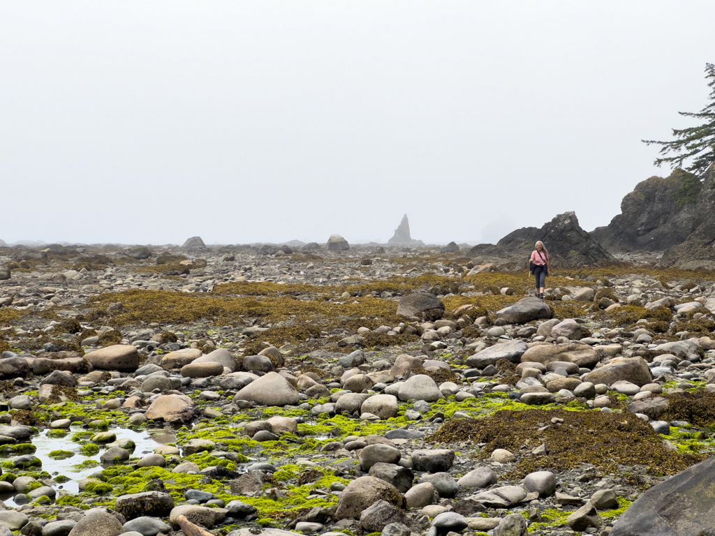 Strandwanderung bei Ebbe