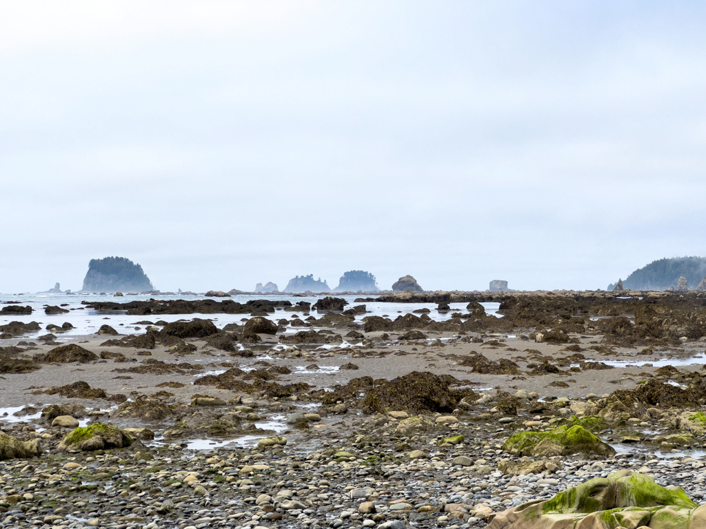 Bizarre Felsformationen am Strand beim Cape Alava, Ozette, Olympic Peninsula