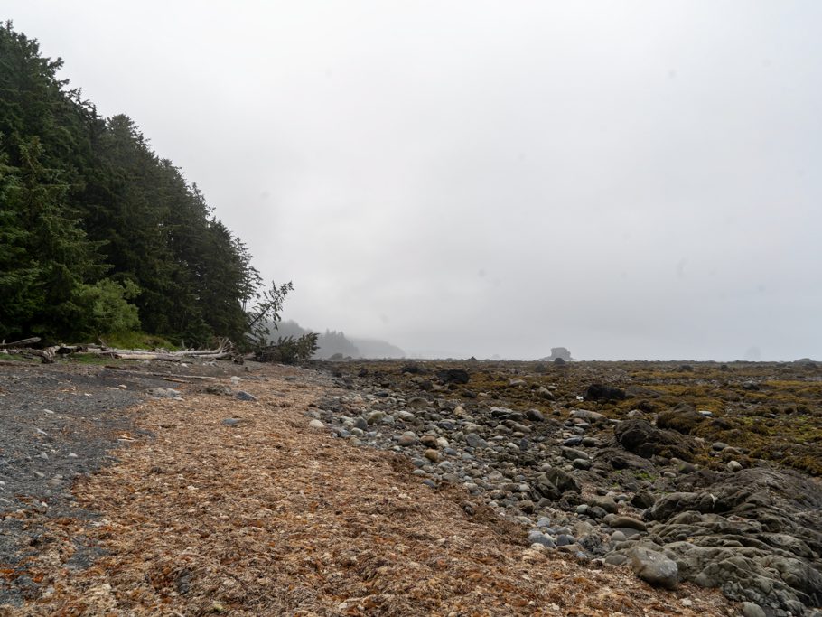 Strandwanderung bei Ebbe