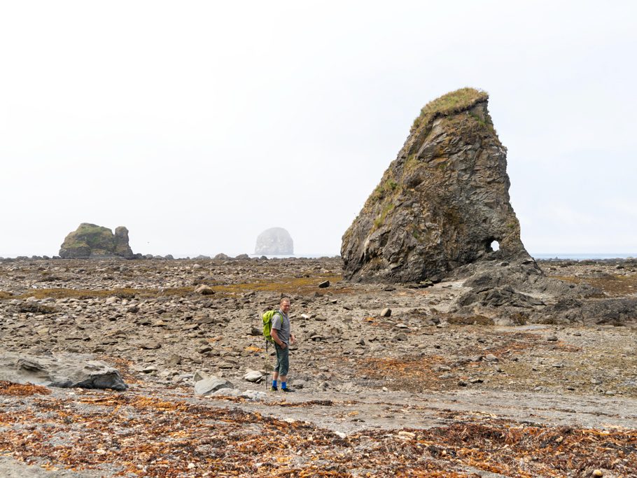 Strandwanderung bei Ebbe: Bizarre Felsen tauchen aus dem Nebel auf