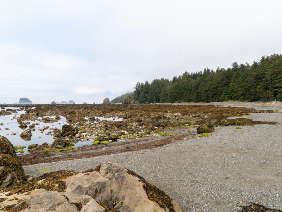 Strand bei Sand Point bei Ebbe