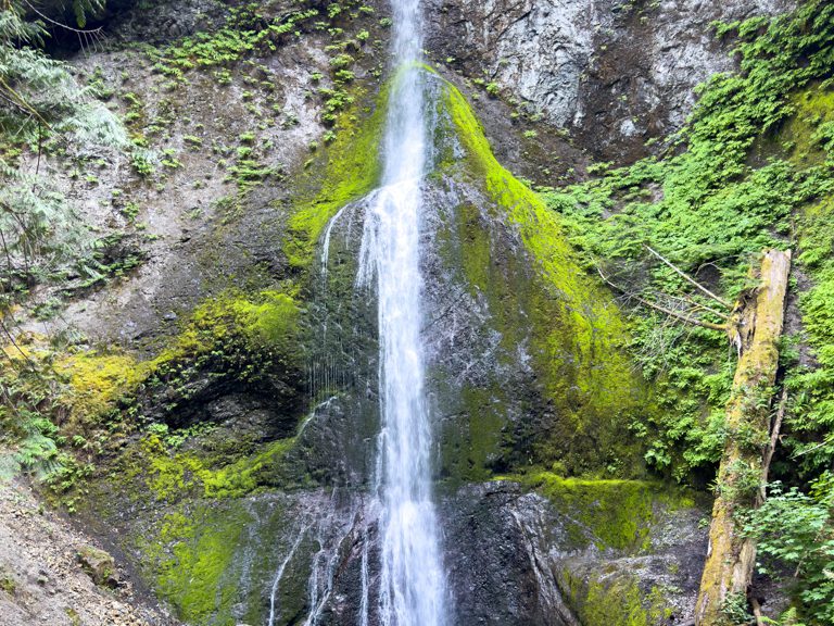 Marymere Wasserfall, Olympic National Park