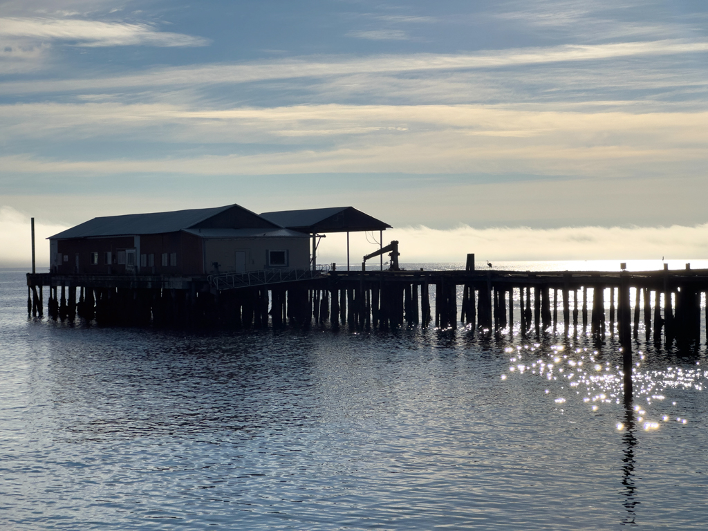 Im Hafen von Port Angeles, Olympic Peninsula