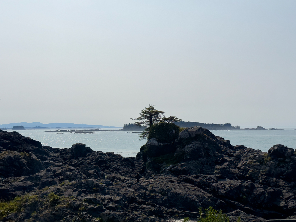 an der äussersten Spitze von Ucluelet: Ausblick auf die Küste gegen Süden