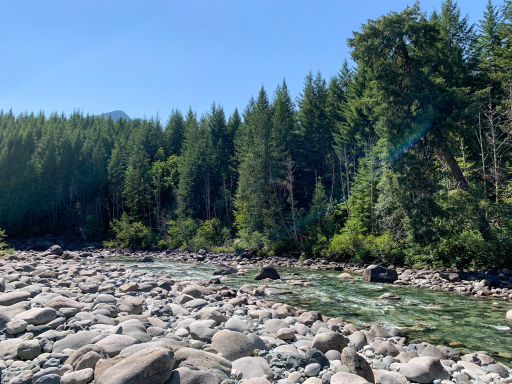 Peppercorn, Badeplatz im Gold River