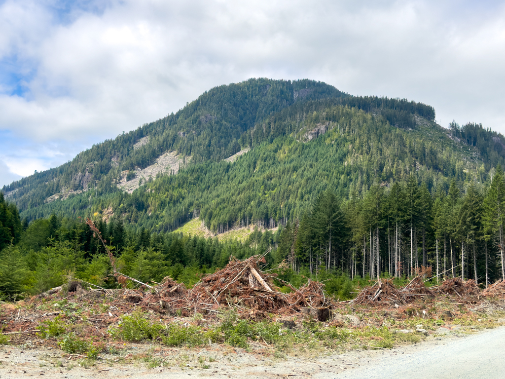 Holzwirtschaft um Gold River