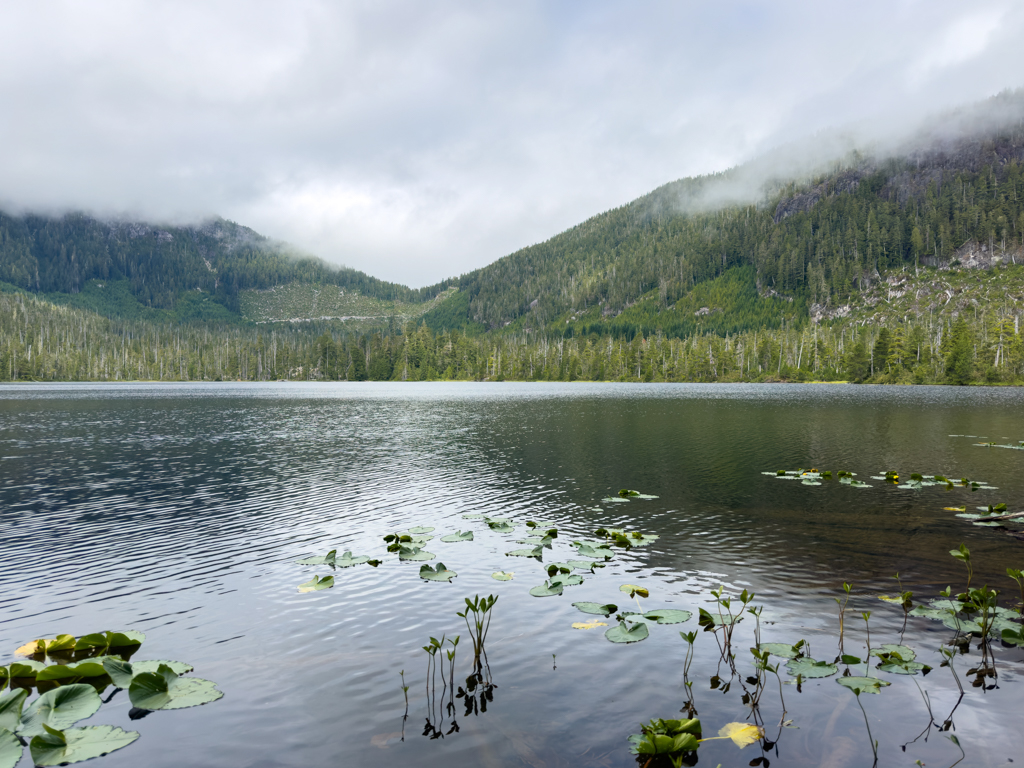 Bull Lake an der Gravel Road nach Tahsis