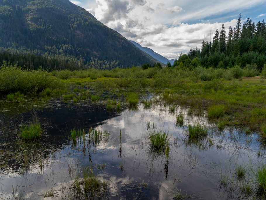 Spiegelungen am Buttle Lake