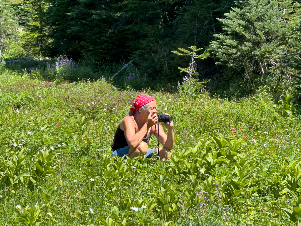 Ma am Fotografieren der schönen Blumen am Arnica Lake