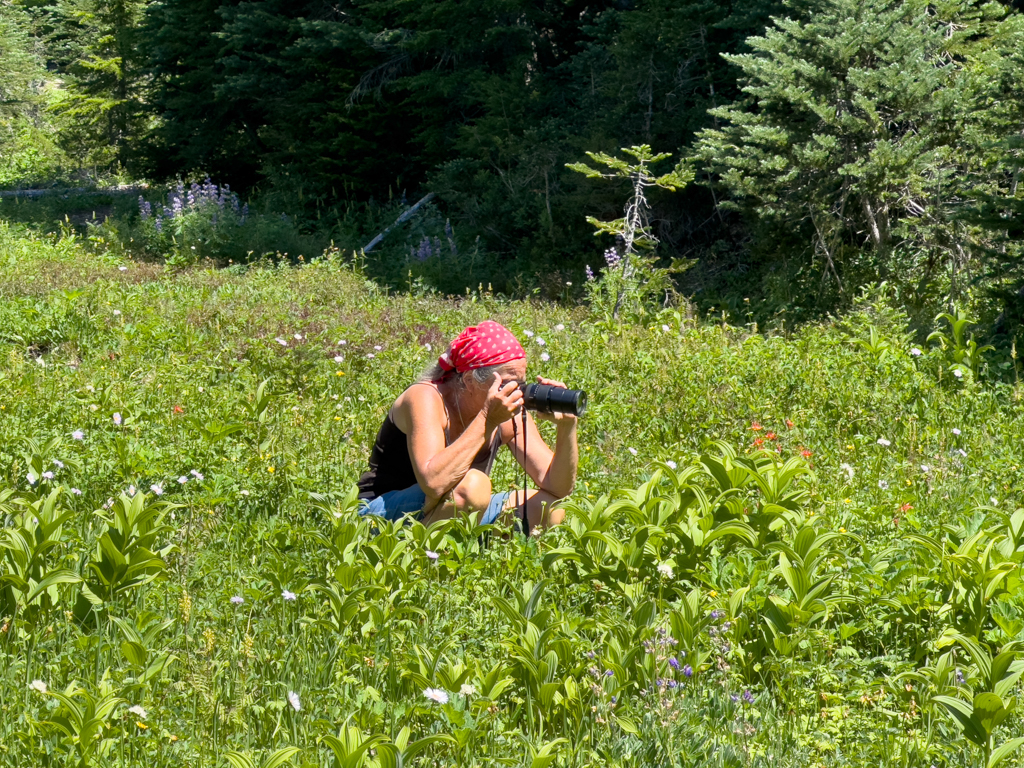 Ma am Fotografieren der schönen Blumen am Arnica Lake