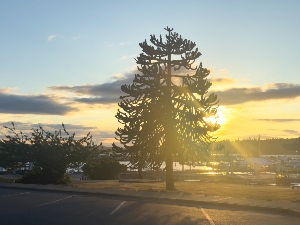 Abendstimmung in Port McNeill