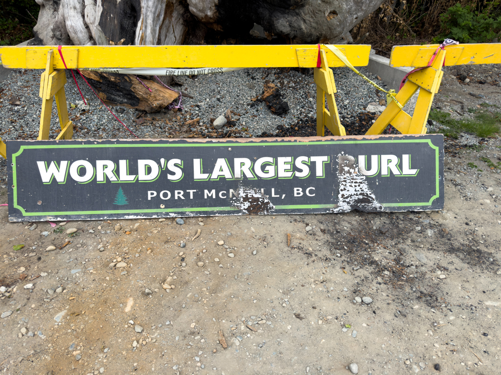 World's largest burl, in Port McNeill, BC