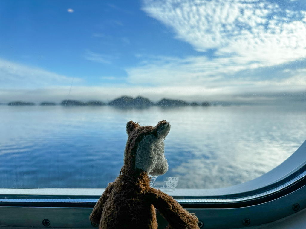 Toll, diese Aussicht aus dem Panoramafenster der Fähre der Inside Passage nach Prince Rupert