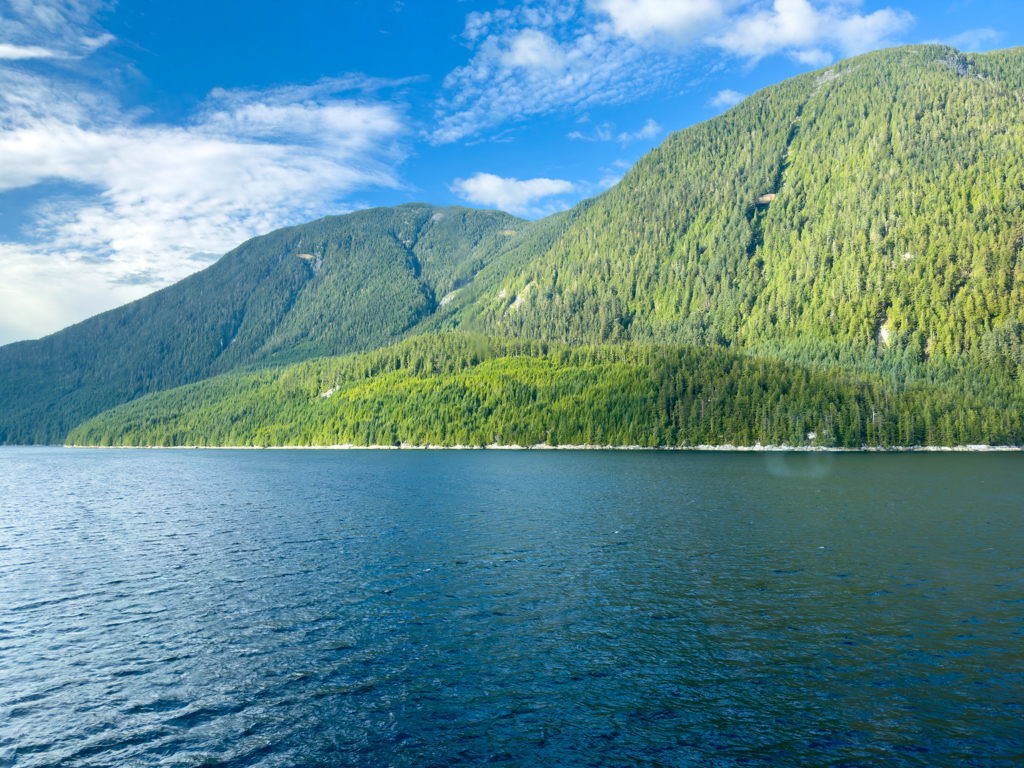 Typisches Bild an der Inside Passage zwischen Port Hardy und Prince Ruppert