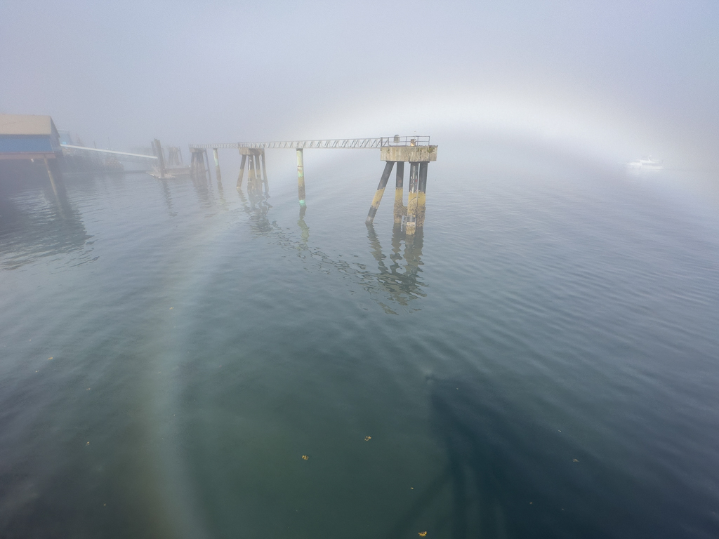 Jo sieht mit den ersten Sonnenstrahlen im Morgennebel einen Regenbogen