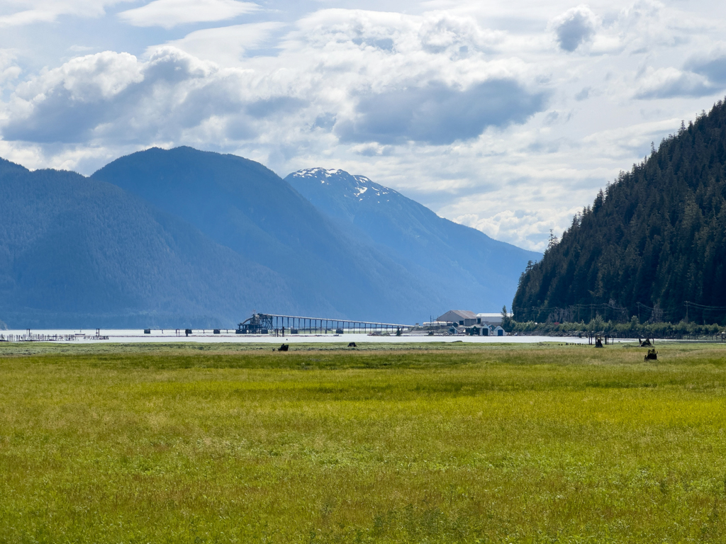 Aussicht auf das Meer im Inlet von Stewart, 3 km von der Grenze zu Alaska, USA