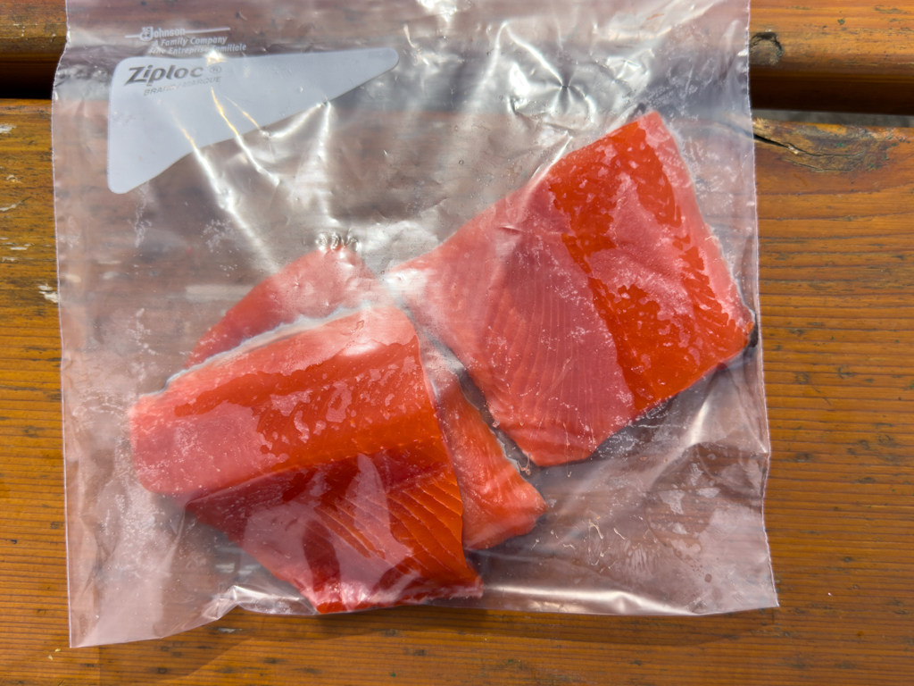 Geschenk unserer kanadischen Camping-Nachbarn: Sockeye Lachs, heute morgen um 8 h frisch gefangen!