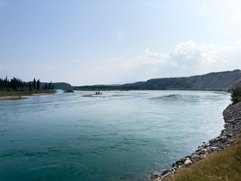 Millenium Trail: Yukon River bei Whitehorse