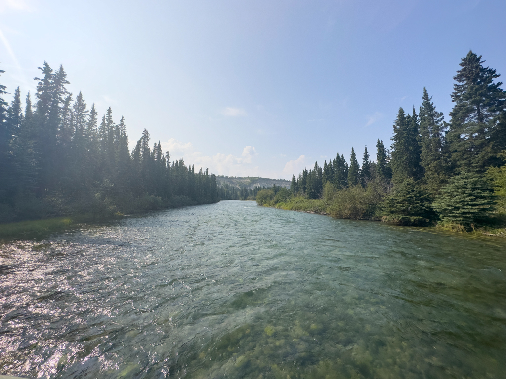 Yukon River bei Whitehorse