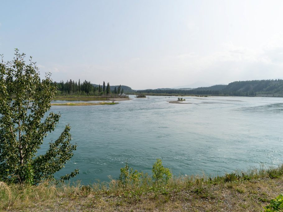 Yukon River bei Whitehorse