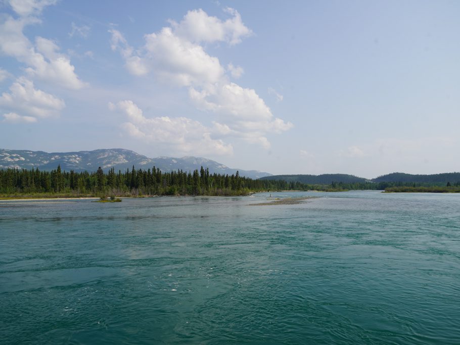 Yukon River bei Whitehorse
