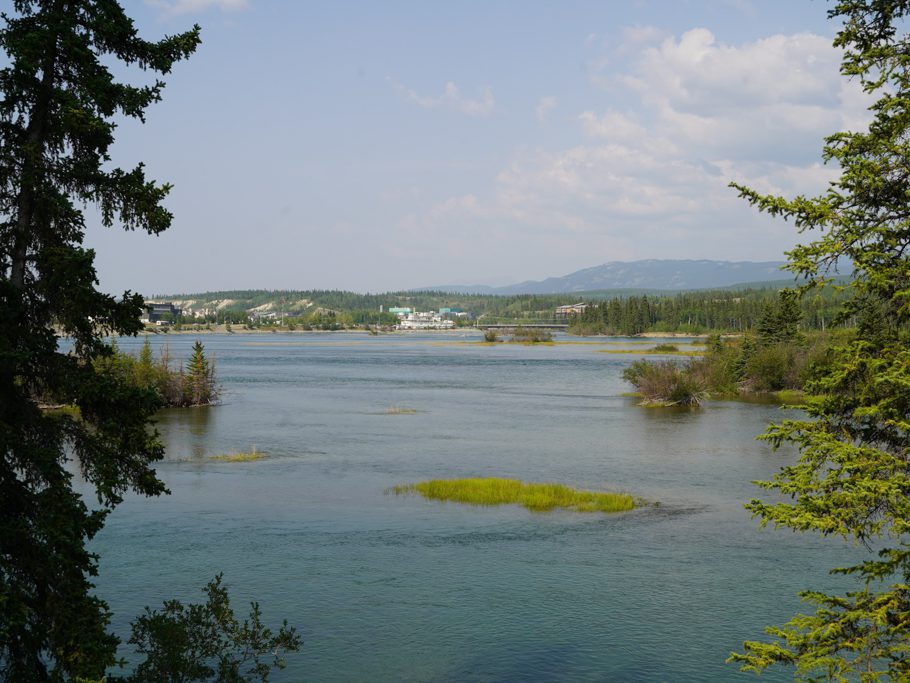 Ausblick auf den Yukon und die Klondike bei Whitehorse