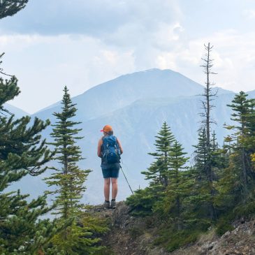 Mountain Hero Trail