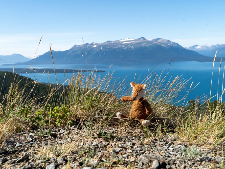 Mo geniesst die Aussicht vom Monarch Mountain bei Atlin