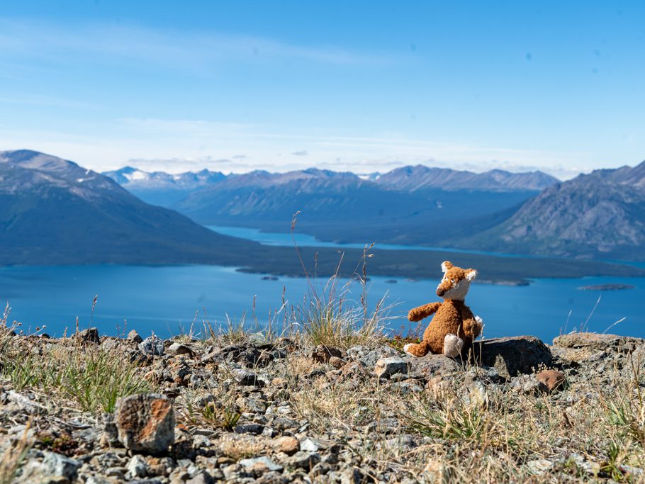 Mo ist überwältigt von der Aussicht vom Monarch Mountain bei Atlin