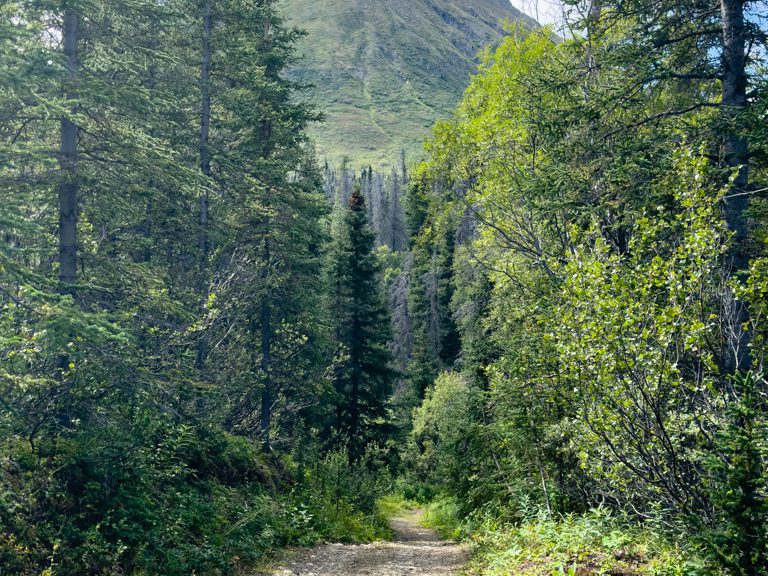 Wanderung zum Saint Elias Lake