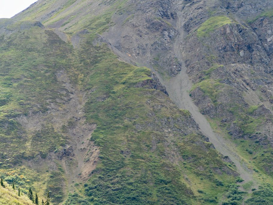 Jo sichtet einen Grizzlybären in der Ferne hoch über dem Saint Elias Lake...